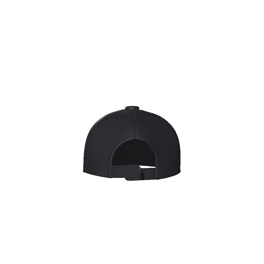 hat,flat bill  hat,snap back,MOQ1,Delivery days 5